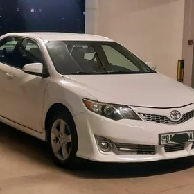 Toyota Camry 2013