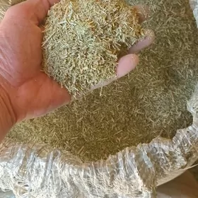 üwelen ýandak külke edilen