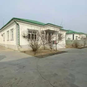 Taze zaman plan 4 kom