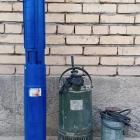 nasos liwni skwažni