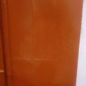 железная дверь с деревянной