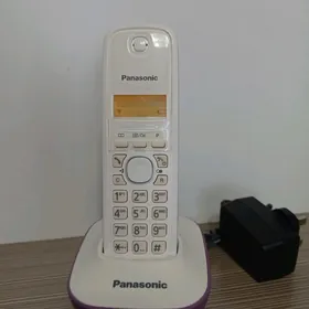 Panasonic