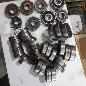 paşipnik dinamo morda taýta