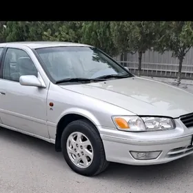 babicka  orak  diska 15 lik