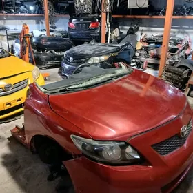 Tayota Nissan LEXus morda