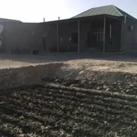 Мугт яшамага машгала герек