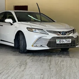 Toyota Camry 2019