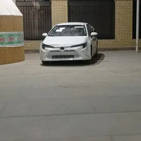 Toyota Corolla 2021