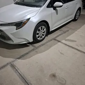 Toyota Corolla 2022