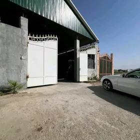 Arenda cogaly oglalara bolyar