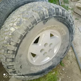 pokrisga 33,12,50r15