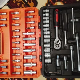 53 nasatkali acarlar