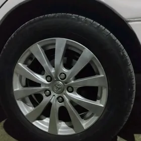 16 diska limited babocka