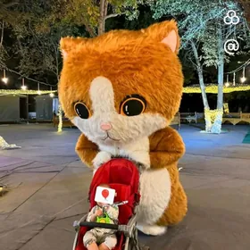 Kalyaska Коляска