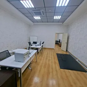 ARENDA !! OBEZNOY ZDANİYA