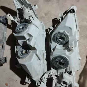 okuz kelle 2011 fara