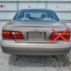 Awalon 99. Stopniklary.