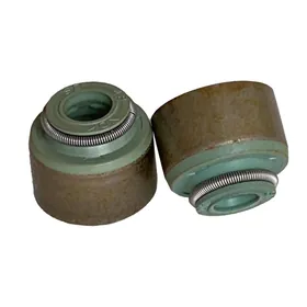 Pajero Маслосъемные колпачки