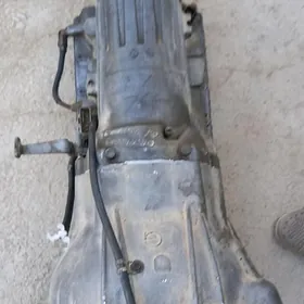 Karopga hays 2.4 2lik