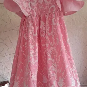 prakad caga koynekprakad caga