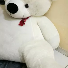 Chaga Yumshak Oyunjak Ayy