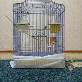 Большая клетка с комплектом