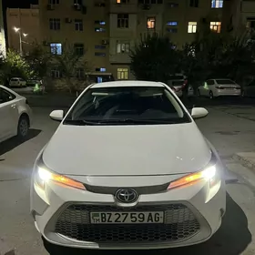 Toyota Corolla 2020