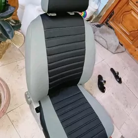 sidenya chehol arzanladysh