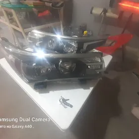 Halijifara 2015 2016