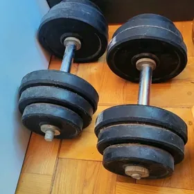 гантели разборные