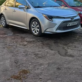 Toyota Corolla 2019