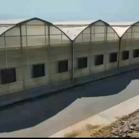 Ýyladyşhana Teplisa Теплица