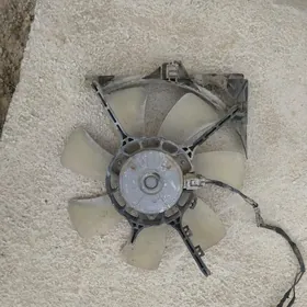 duty awalon lopus per