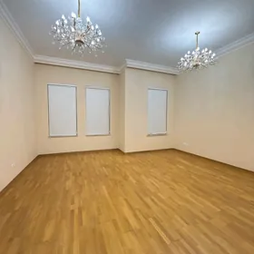 Элитка Московская Кока кола