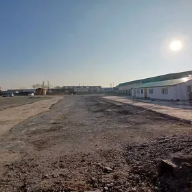 АРЕНДА ГАМИ 1,5 ГЕКТАР