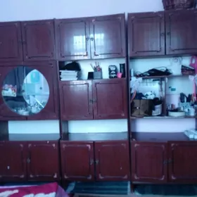 serwant sandyk sfaner