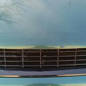 абисофка вектра б