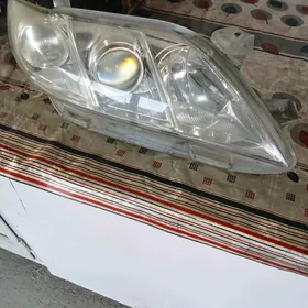 Morda fara okuz kelle 2008