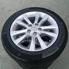 Leksus Dysga morda 17