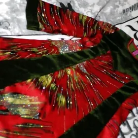 Şolk tylky bn garylan