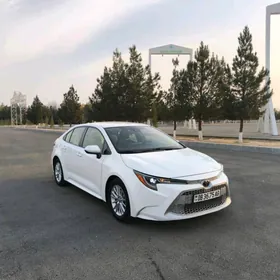 Toyota Corolla 2020