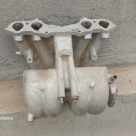 LADA NYWA ižekdir  soryjy kale