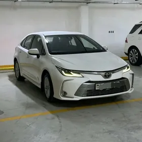 Toyota Corolla 2020