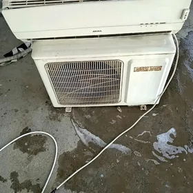 Akira 40lyk konsener