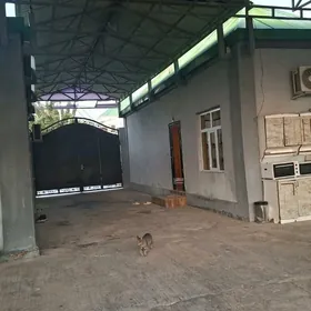 Satlyk yalkym plan jay