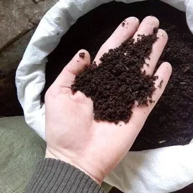 biogumus kalifarneýskiý gurçuk