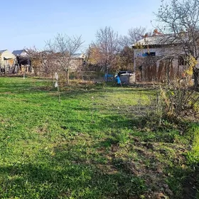 Daça Gress Meçurin