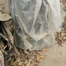 бочка металическая