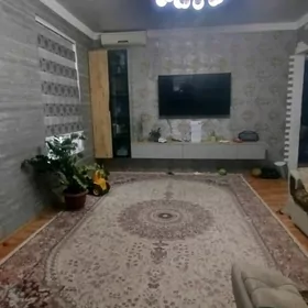 Buzmeyin Gress Arkacka 3+1