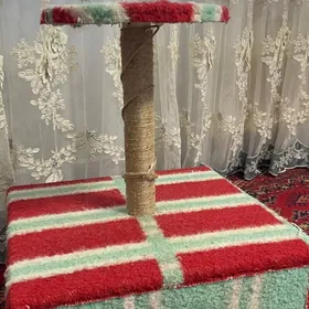 Pisik ucin yasatdym öýi